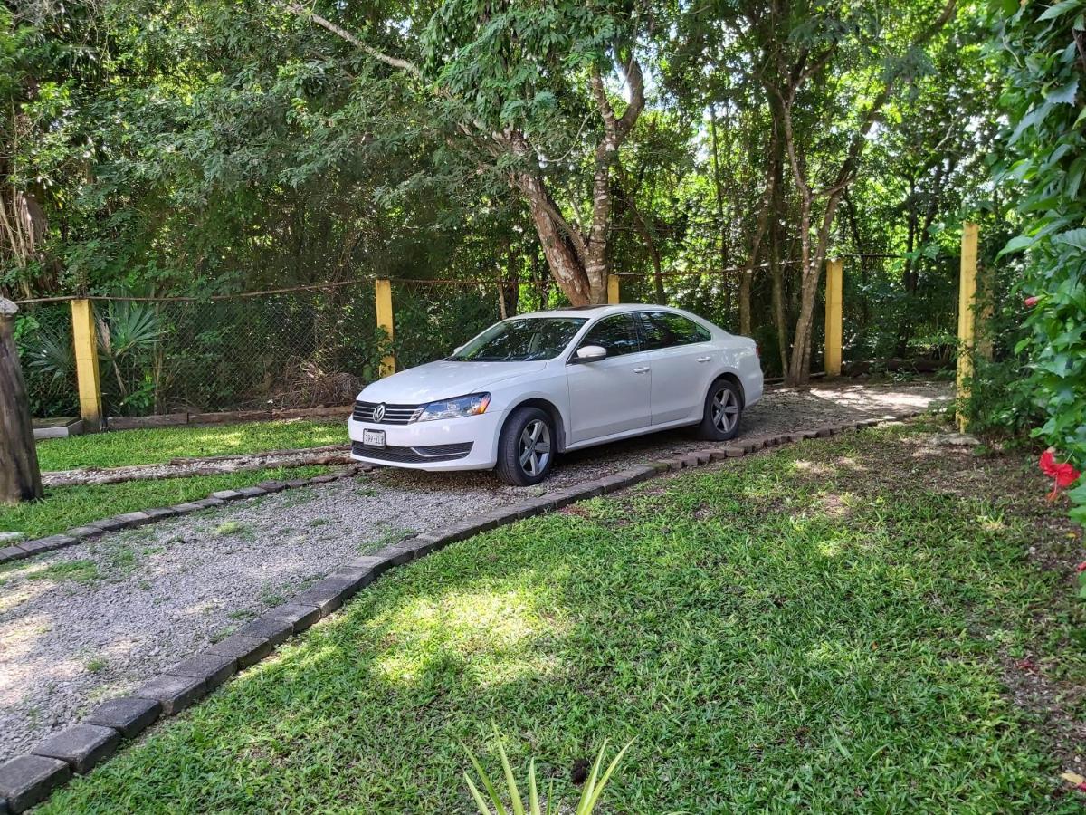New! Casa Xola Cenote&fauna Loft *