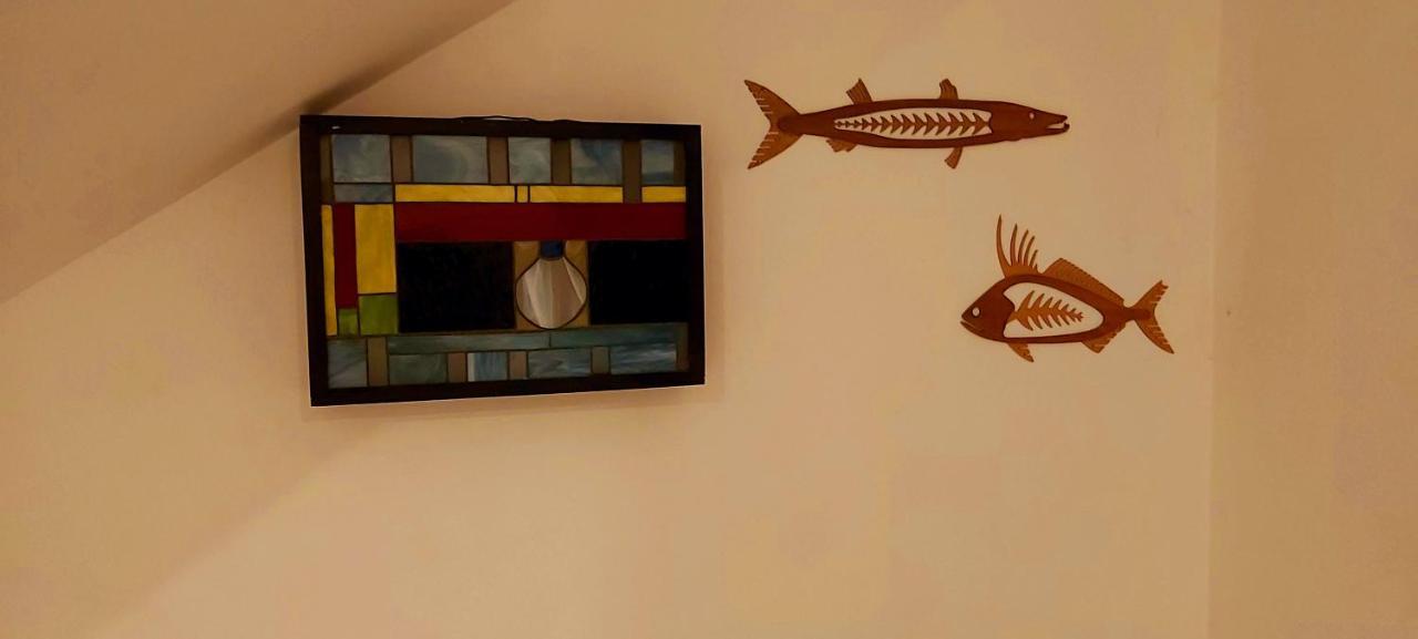 New! Casa Xola Cenote&fauna Loft Cozumel