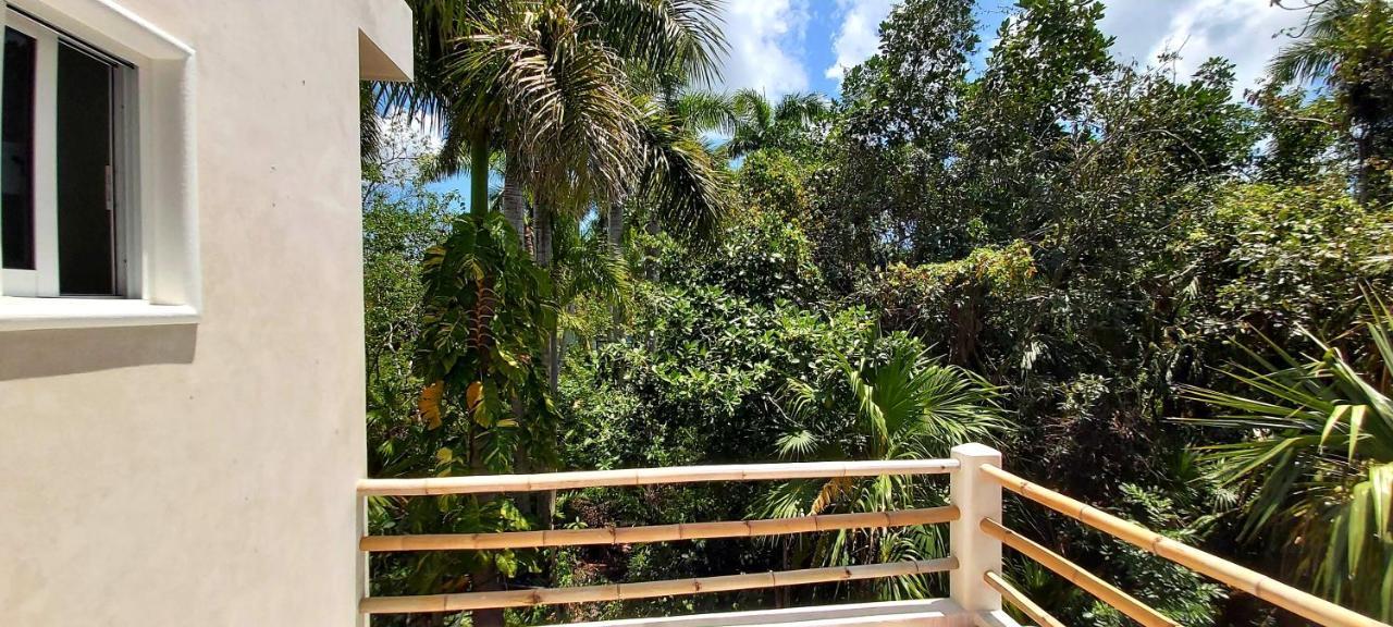 New! Casa Xola Cenote&fauna Loft * Cozumel