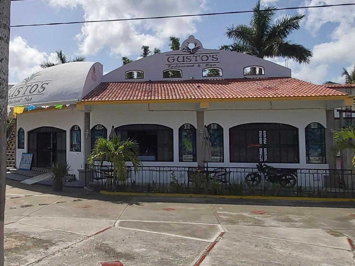 New! Casa Xola Cenote&fauna Loft Cozumel