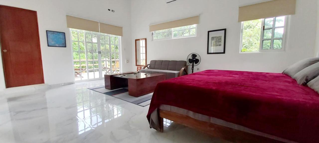New! Casa Xola Cenote&fauna Loft