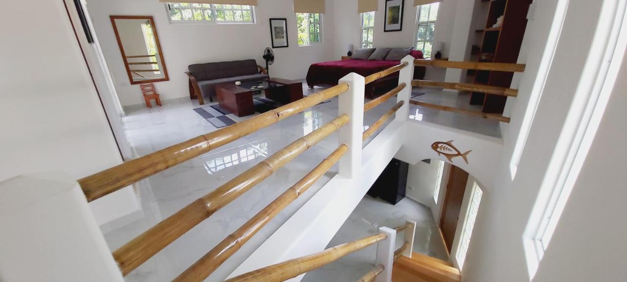 New! Casa Xola Cenote&fauna Loft