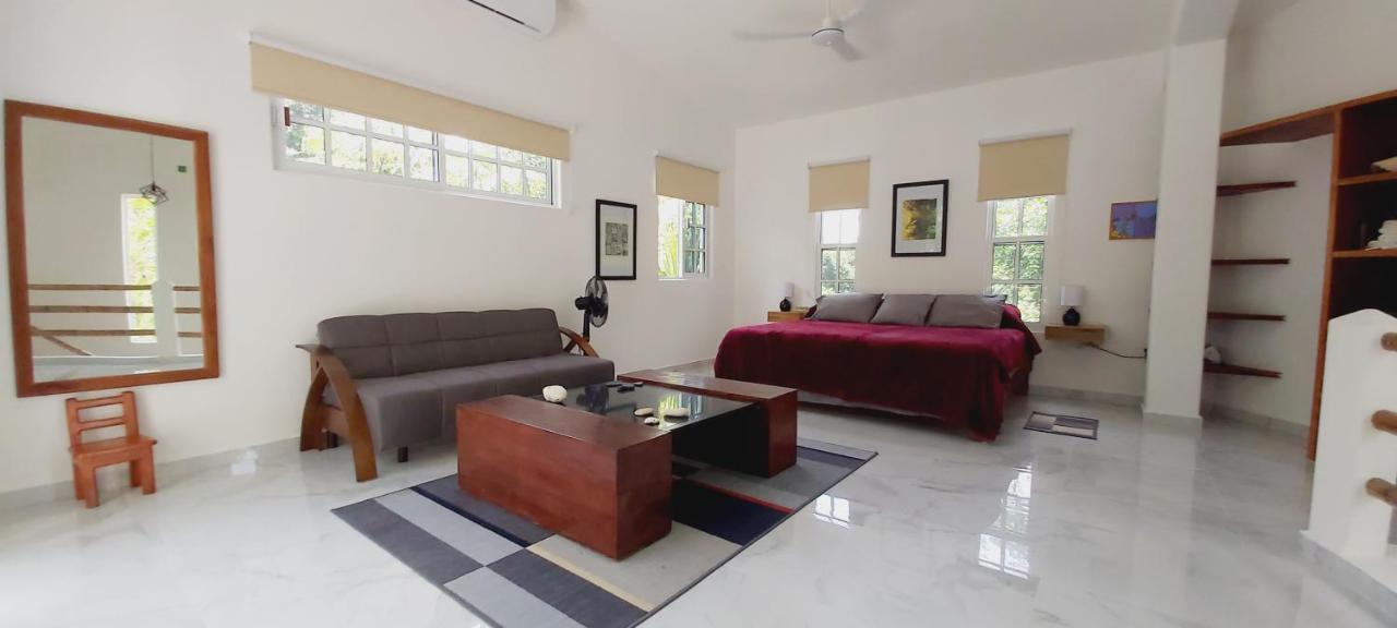 Villa New! Casa Xola Cenote&fauna Loft Cozumel