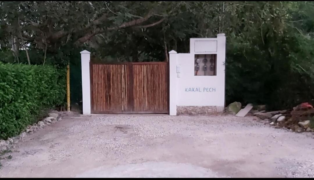 New! Casa Xola Cenote&fauna Loft Cozumel