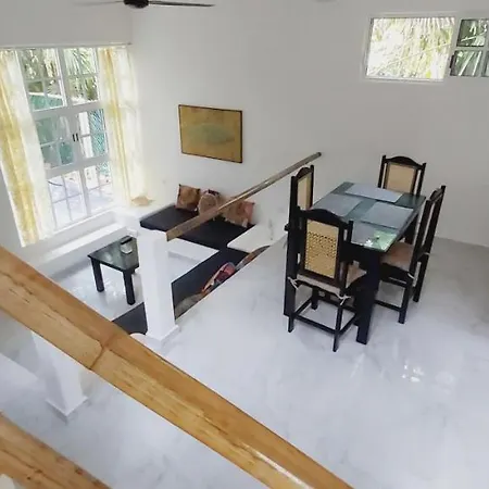 New! Casa Xola Cenote And Fauna Loft Cozumel Exterior photo
