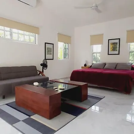 New! Casa Xola Cenote And Fauna Loft Cozumel Exterior photo