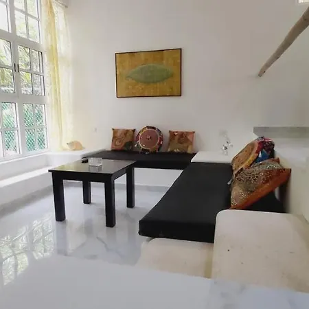 New! Casa Xola Cenote And Fauna Loft Cozumel Exterior photo