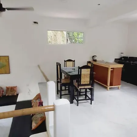 New! Casa Xola Cenote And Fauna Loft Cozumel Exterior photo