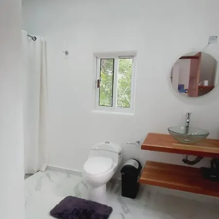New! Casa Xola Cenote And Fauna Loft Cozumel Exterior photo