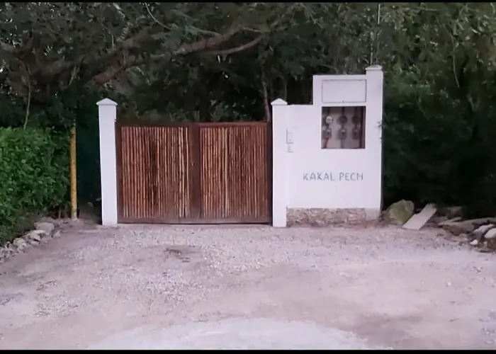 New! Casa Xola Cenote And Fauna Loft